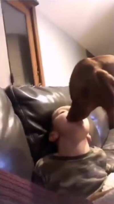 HMJB while I let this dog lick my face