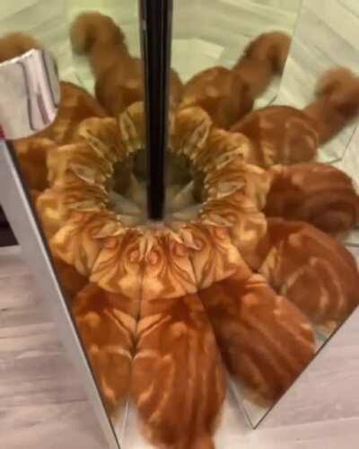 Catculating how to summon the dark lord