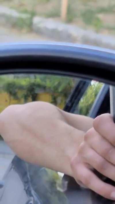 Seagull swallows entire squirrel