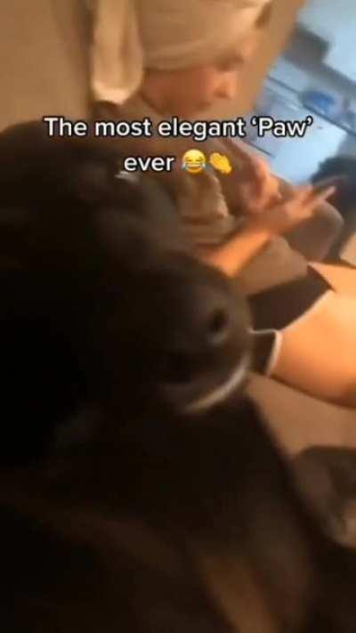 Com prazer madame 🍷