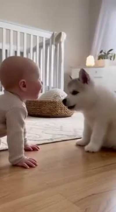 Simplemente adorable