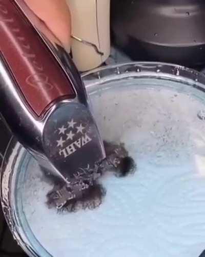 Cleaning a hair trimmer
