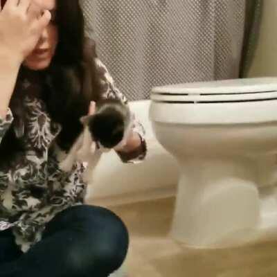 Mimi had a lot to say the day that we pulled her and Teddy B out of the engine of an abandoned car.