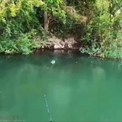 Just a peaceful little swimming hole.