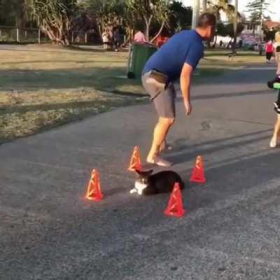 SicK hUmAn pUtS cAt's LiFe iN dAnGeR