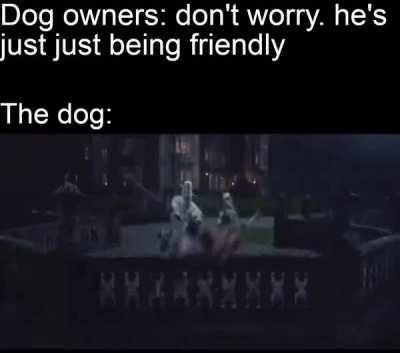 Or it humps your leg