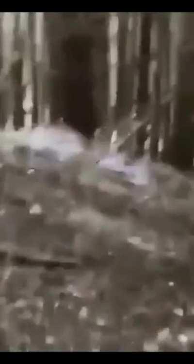 There WAS a squirrel