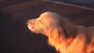 Wee ooo weee ooo weee ooo.. ( sound on, wait for it)