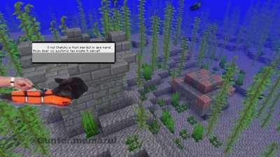 Joc nou cu chelutu , a meritat sa il iau?