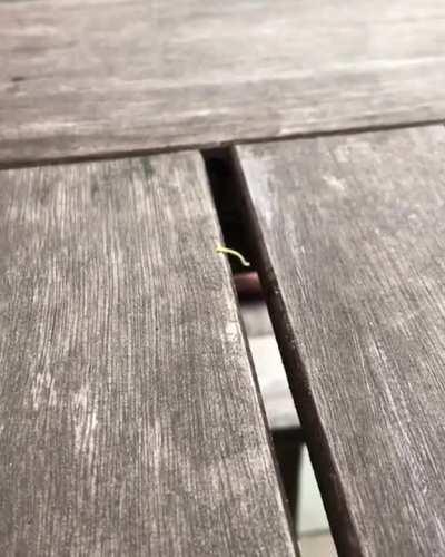 more talented than me