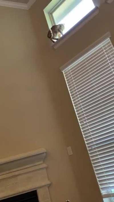 I was told my crazy boy needed to be here