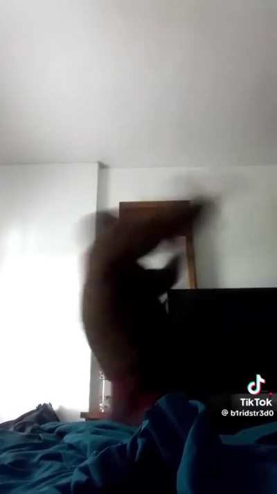 Todo sonho tem sentido