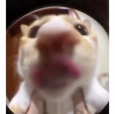 Open the door.. I'm hungry