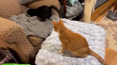 Finally! A video of Lily with the elusive puff-puff (and an assist from her brother...)