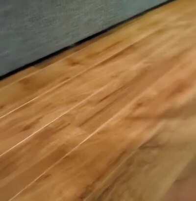 *Cue Mission Impossible music*