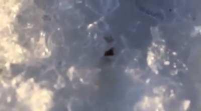 shooting a bullet on ice