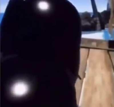 Dammmn sus culon 🥵