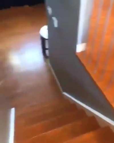 I love my husky but... listen this