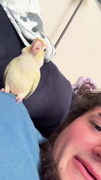 Playful? She seems like she’s play wrestling with my hand. Seem playful because she’s still cuddly after. Plus she doesn’t bite hard.