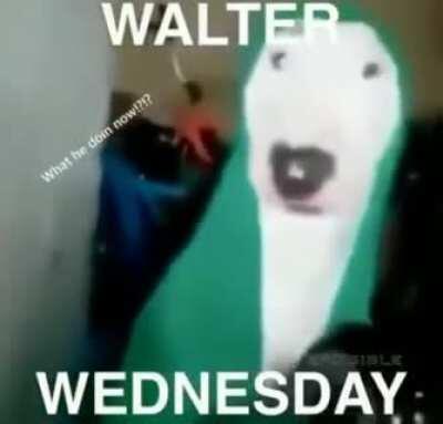 happy Walter Wednesday