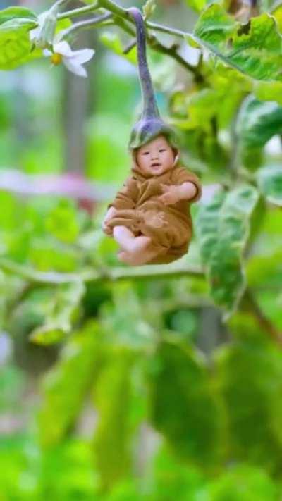 This is so Cute♥️😍