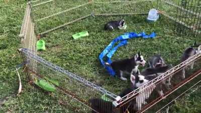 Uh oh, he figured it out.