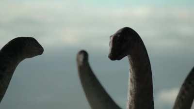 Prehistoric Planet did it's job reminding that large herbivores are easily some the most intolerant/dangerous animals in nature, with no better representation than the one who 