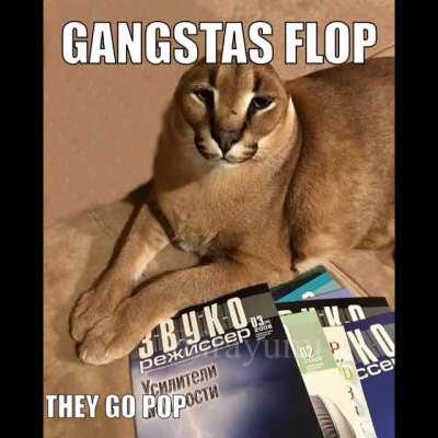 Big floppa - the shabba-do conspiracy