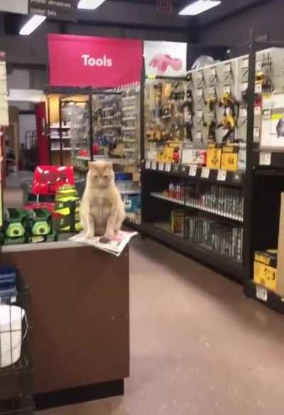 Hey there. Is there a project you're working on?