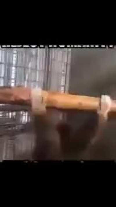 I'm 15 and this is yeet