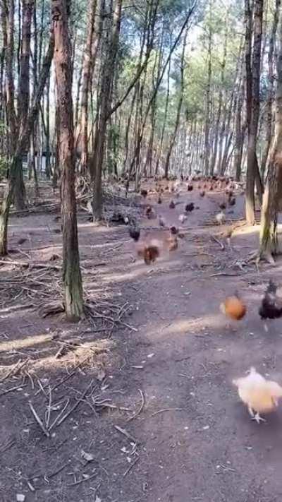 Avengers.....Assemble