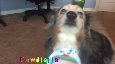 Another pewdiepie intro but dog version