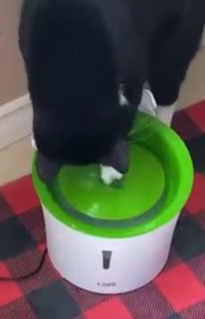 “It’s only water”