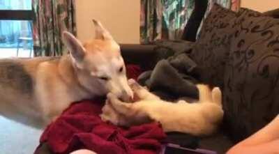 Ava and Finn - the friendship continues