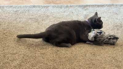 Finding fresh warm laundry out of dryer = brain glitch mode every time…