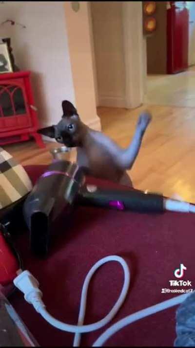 I wouldn’t cross him.