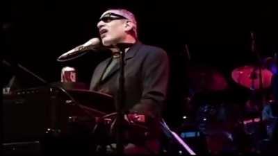 Steely Dan if they were a good band