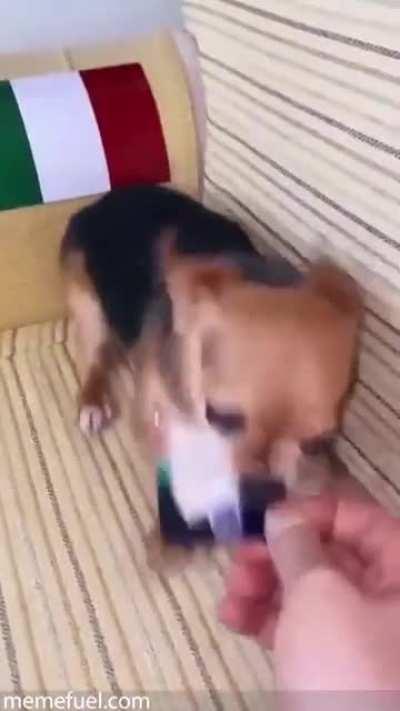 Everybody's afraid of Him