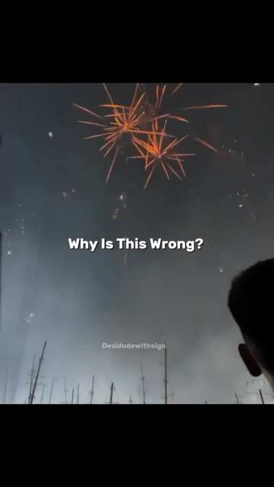 Celebrate Diwali the way you want, don’t let paid stooges guilt trip you. Happy Dhanteras.