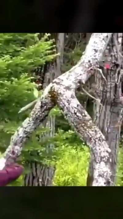 Nature keeps testing us mortals.