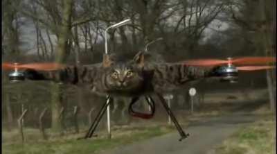 Превратил своего кота в дрон