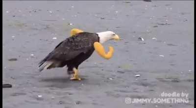 America… Fuck yeah.