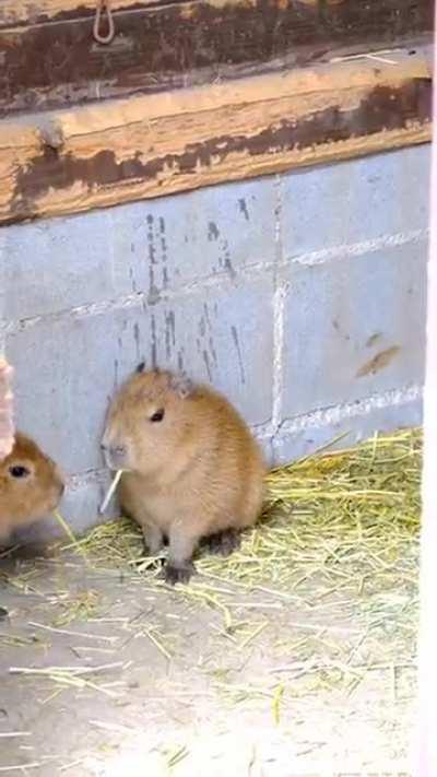 Am back we more from this cutie’s ❤️❤️