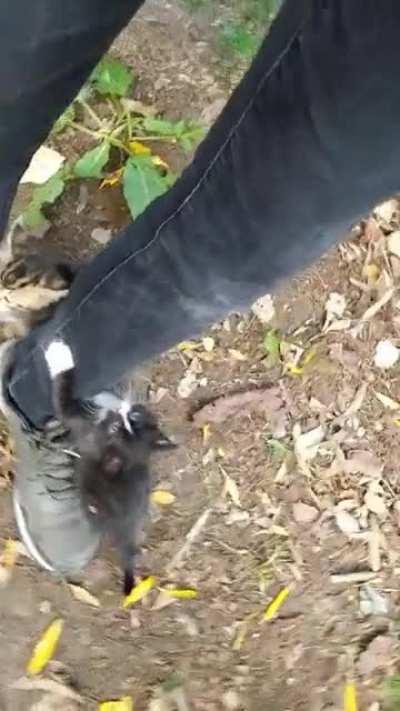 Bacak aramda oyun oynuyolar