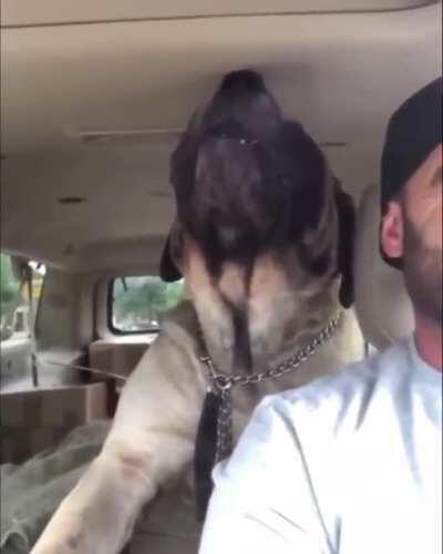 HMK while I sound the alarm