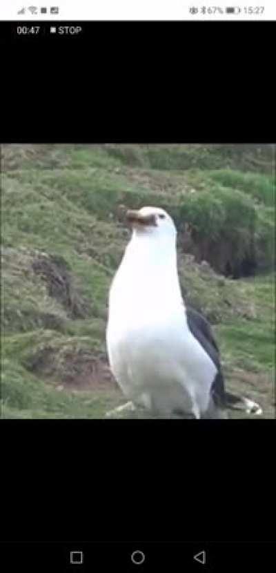 Fucking swallowed the whole thing!