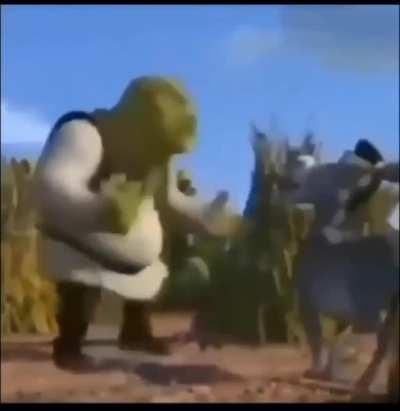 sherk zoio