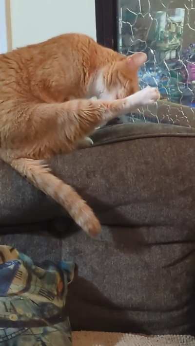 Giving that spread his all.