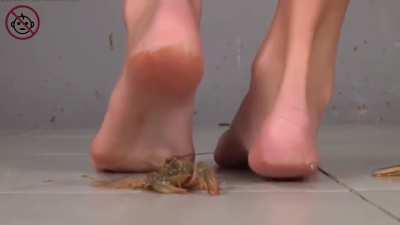 Crush 🦞[Barefoot]