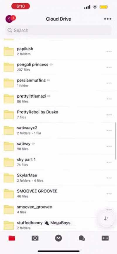 OVER 2TB WORTH OF MEGAS DM NOW📲